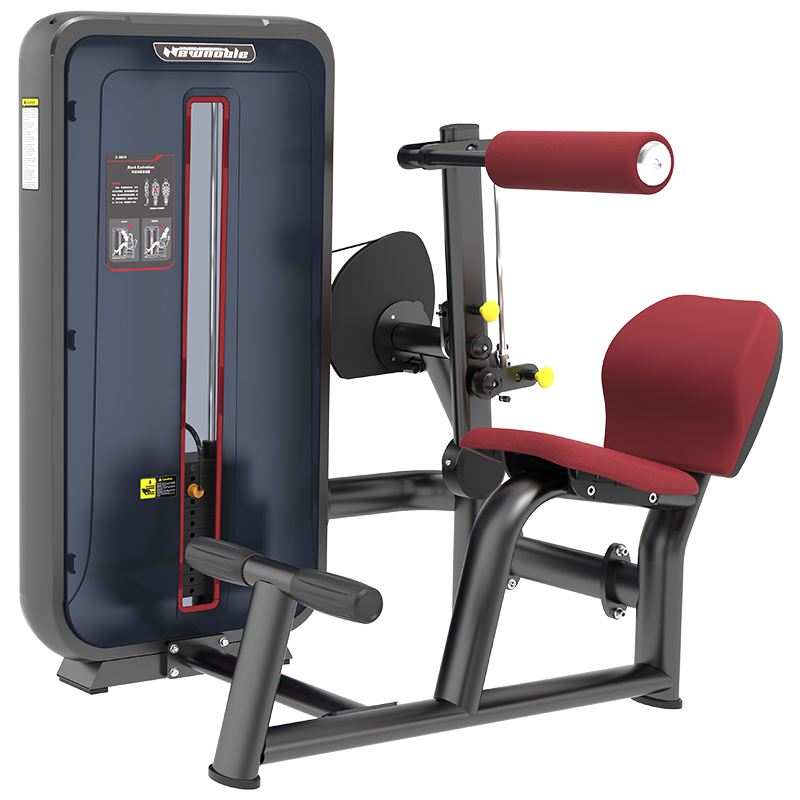 康强商用健身房专用器械力量器械专项器械无氧健身器械 6010背部伸展训练器